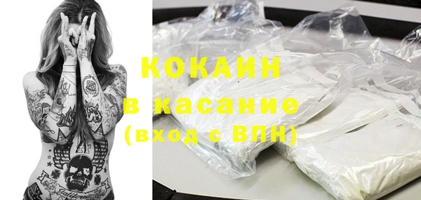 твердый Пересвет