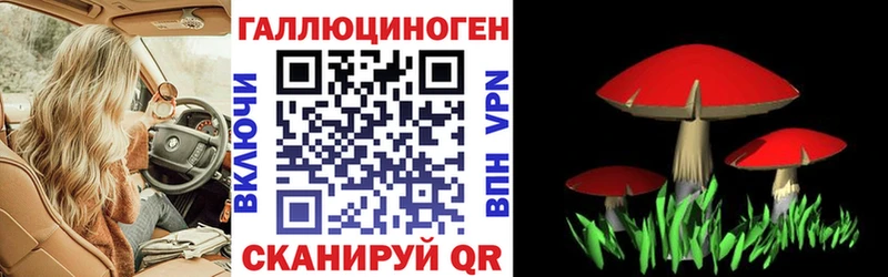blacksprut зеркало  Сосногорск  Галлюциногенные грибы прущие грибы 